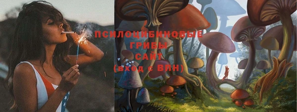 крисы Кодинск