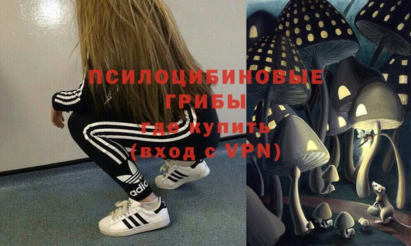 крисы Кодинск