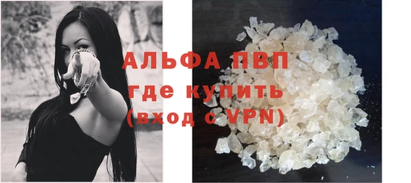 крисы Кодинск