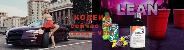 крисы Кодинск