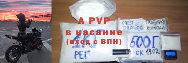 крисы Кодинск