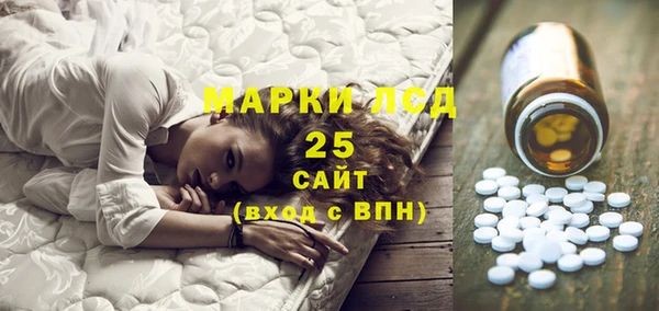 крисы Кодинск