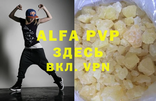 spice Козельск