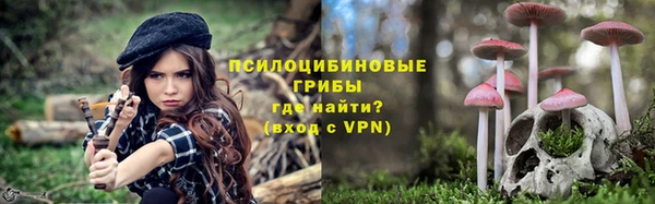 хмурый Козловка