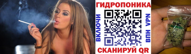 МАРИХУАНА планчик  Купить  Бородино 